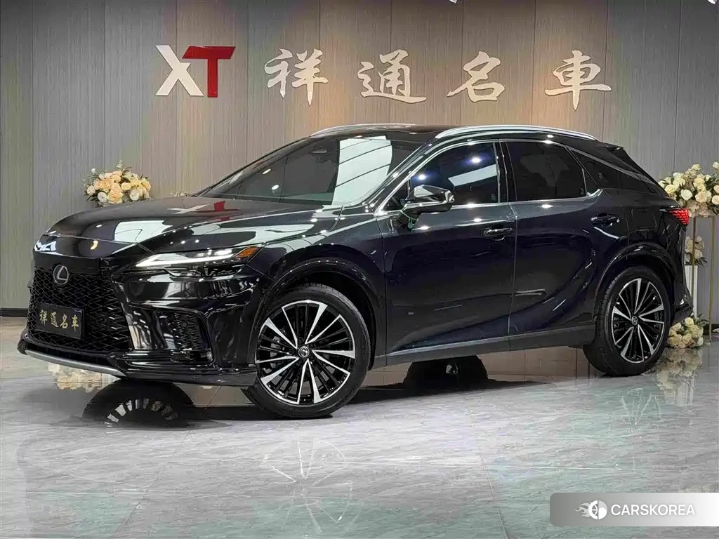 Lexus RX id 4559793 из Китая 25