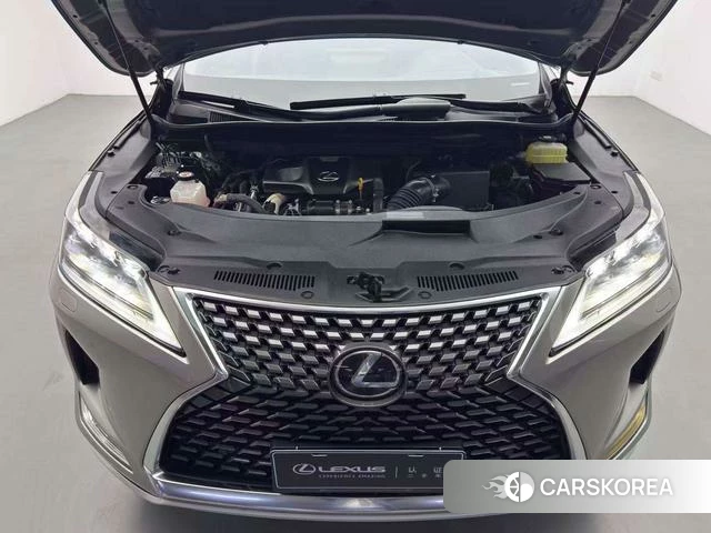 Lexus RX id 4314139 из Китая 14