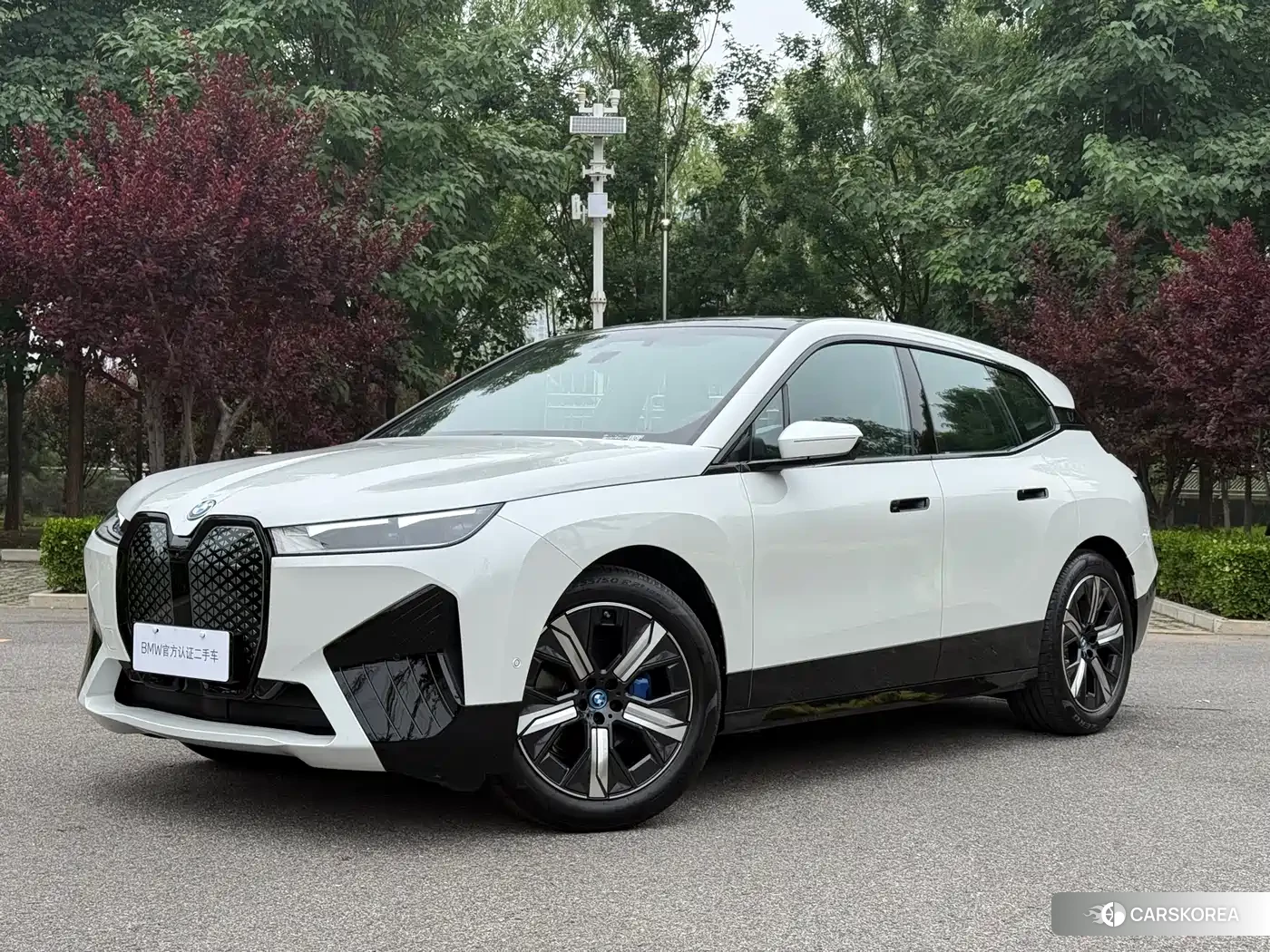 BMW iX id 4548018 из Китая 10
