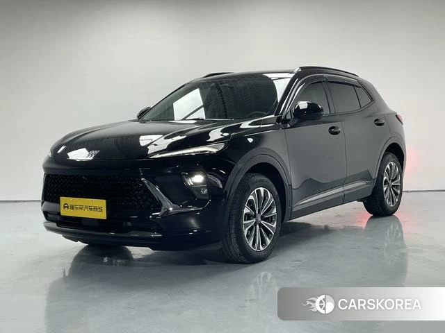 Buick Angkewei S id 3957847 из Китая 19