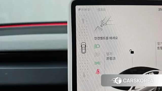 Tesla Model 3 id 3549899 из Кореи 19