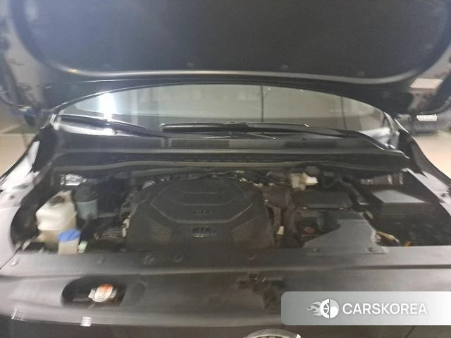 Kia The New Carnival id 4403189 из Кореи 19