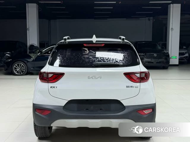 Kia Yi Ran id 4259540 из Китая 22