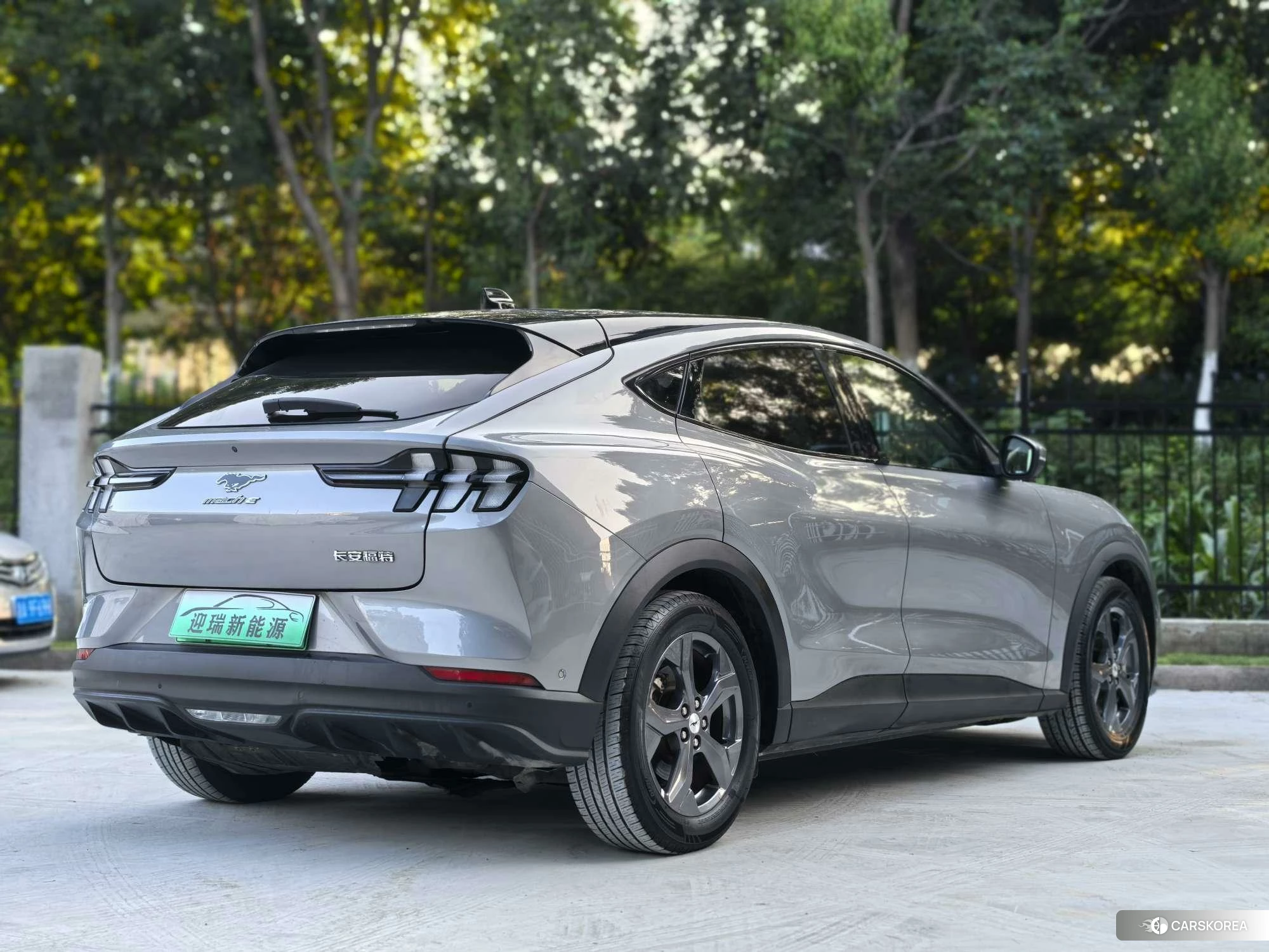 Ford Electric horse id 4426683 из Китая 15