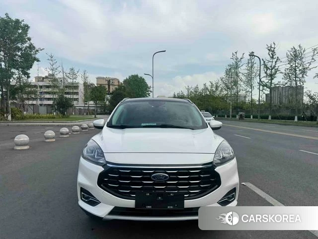 Ford Ruiji id 4216220 из Китая 20