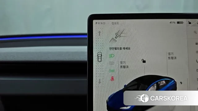 Tesla Model 3 id 3002186 из Кореи 19