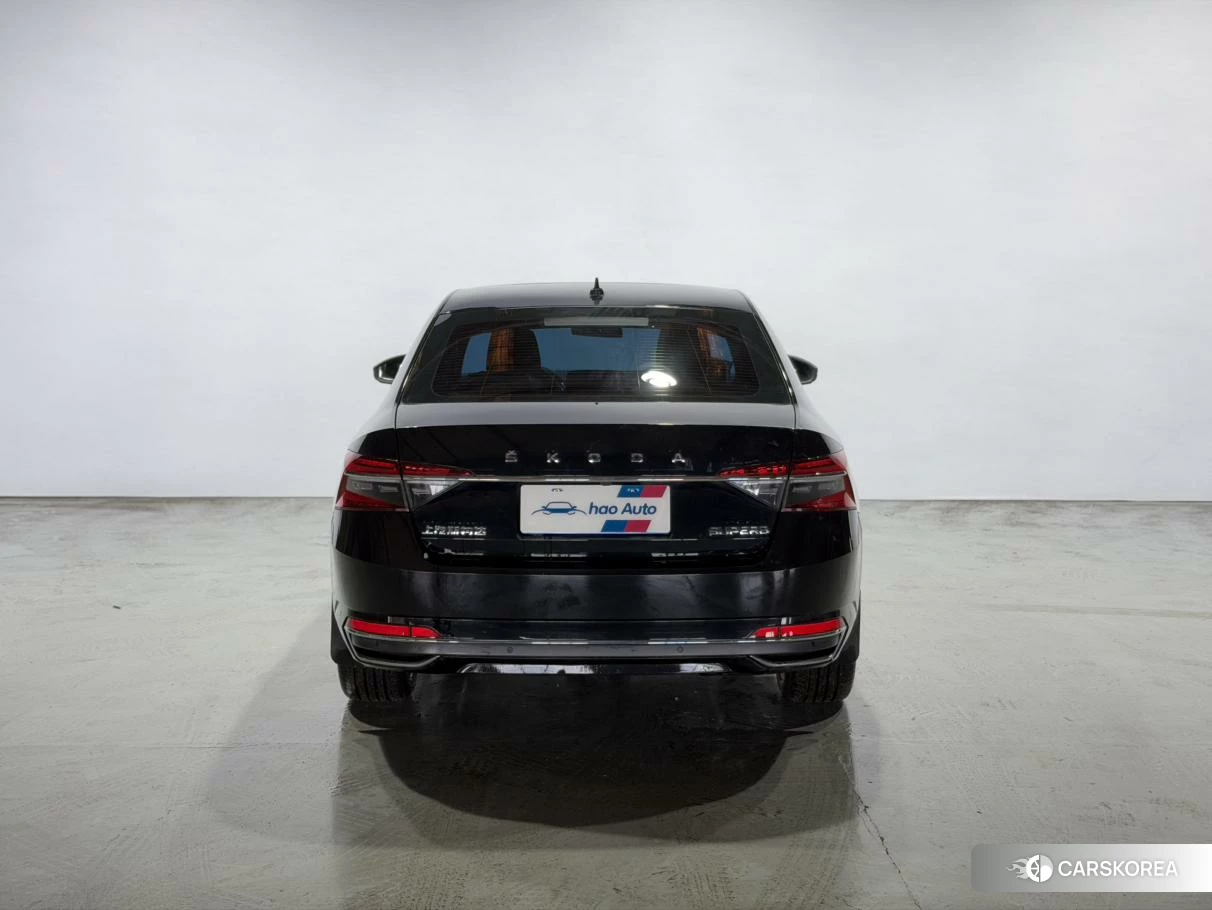 Skoda Speed pie id 4468061 из Китая 12