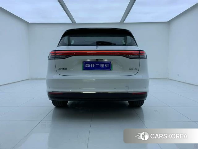 Shangjie H5 id 4253432 из Китая 30