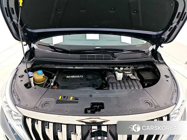 GAC Trumpchi Trumpchi M8 id 4208987 из Китая 19