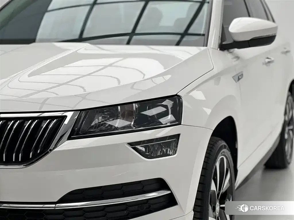 Skoda Karoq id 4628186 из Китая 22