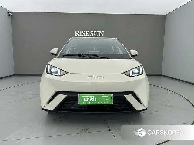 BYD Seagull id 4241494 из Китая 9