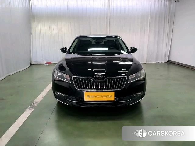 Skoda Speed pie id 4211522 из Китая 19