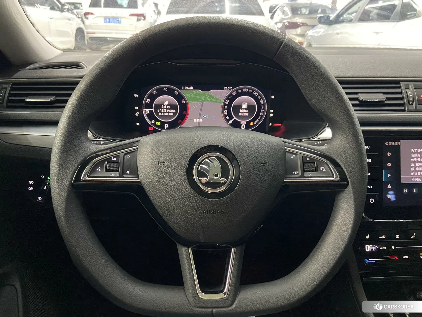 Skoda Speed pie id 4514805 из Китая 22