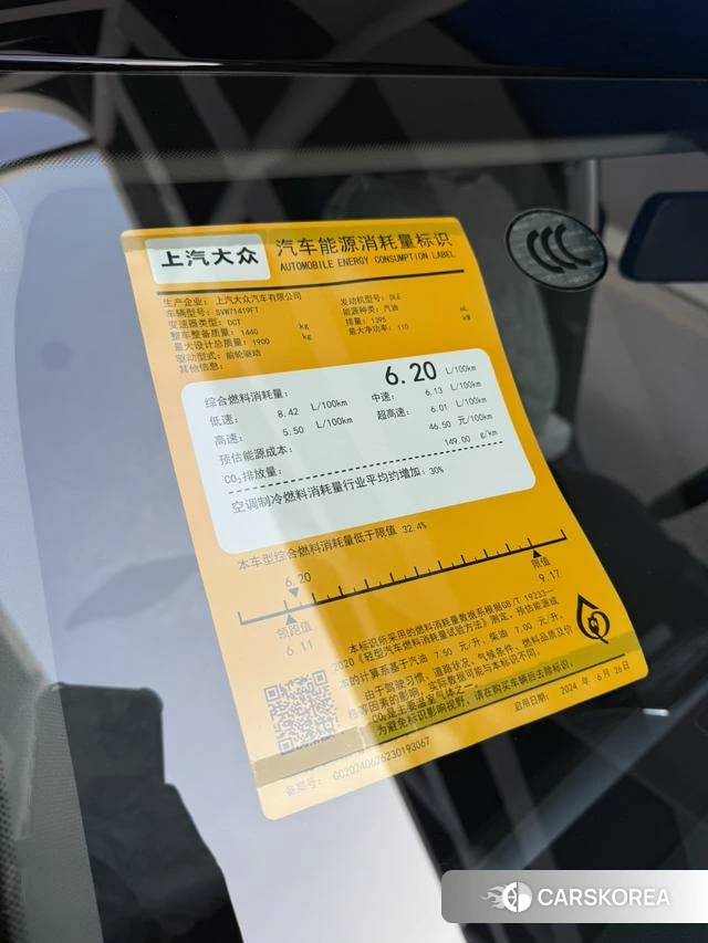 Skoda Speed pie id 4182603 из Китая 20