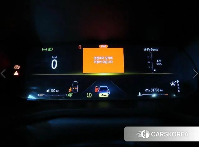 Renault Korea (Samsung) XM3 id 4922578 из Кореи 19
