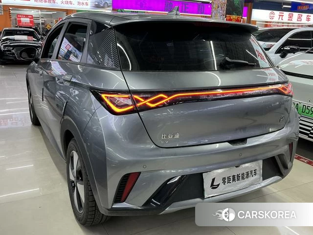 BYD dolphin id 4208734 из Китая 14