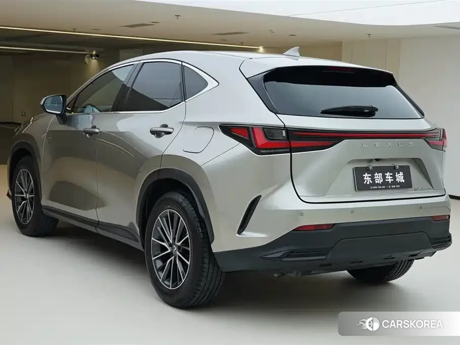 Lexus NX id 4539145 из Китая 20