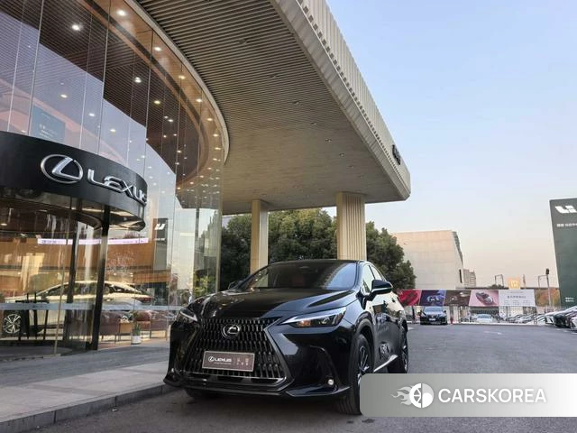 Lexus NX id 4262304 из Китая 15