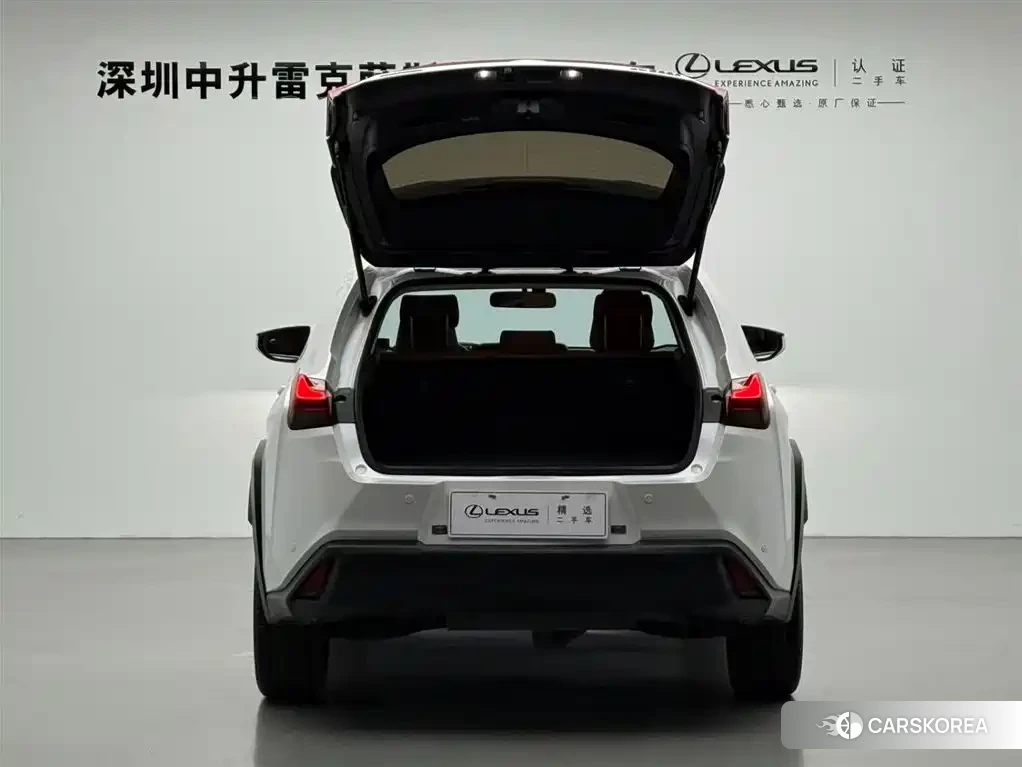 Lexus UX id 4546210 из Китая 16