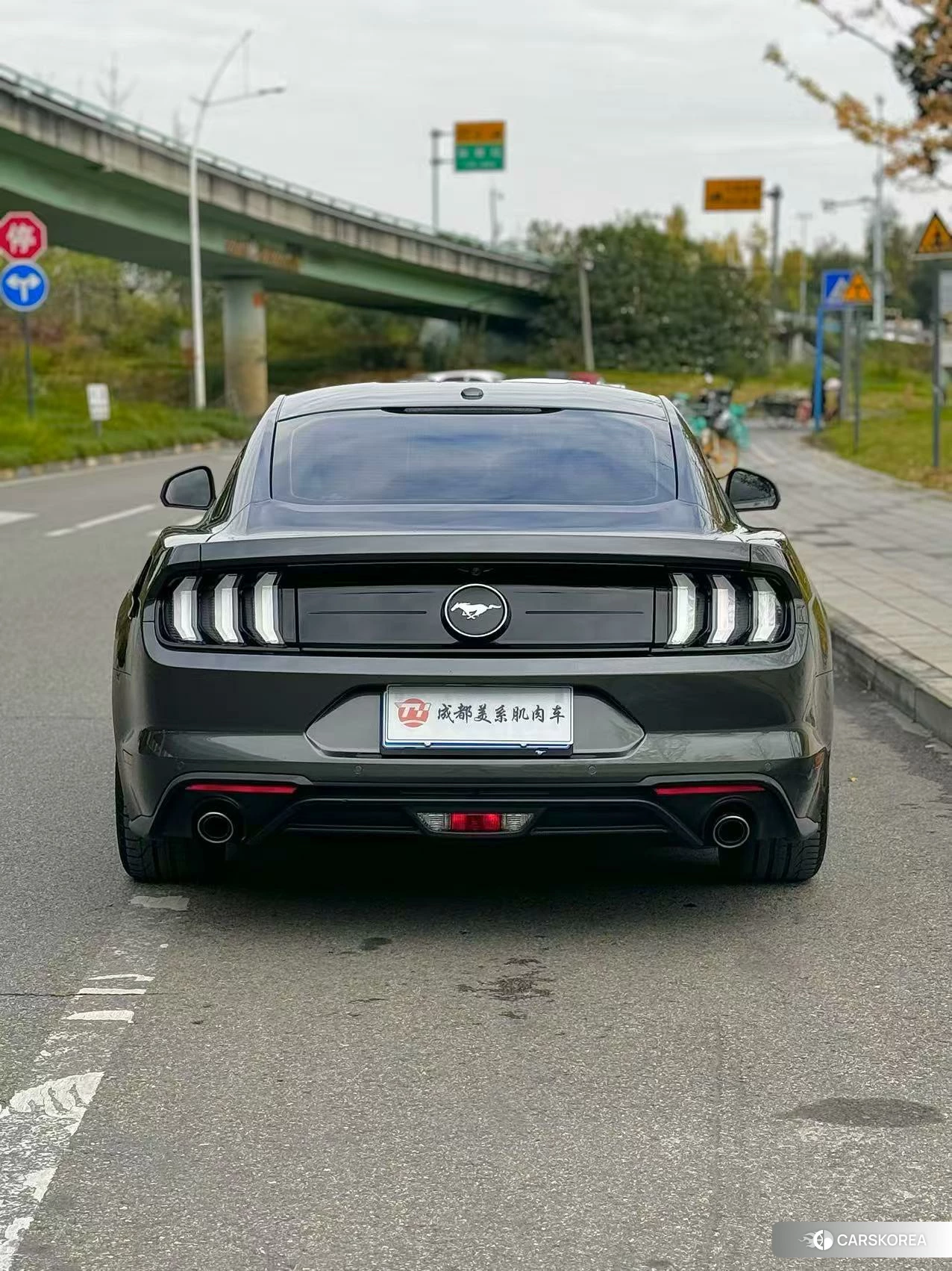Ford Mustang id 4419155 из Китая 9