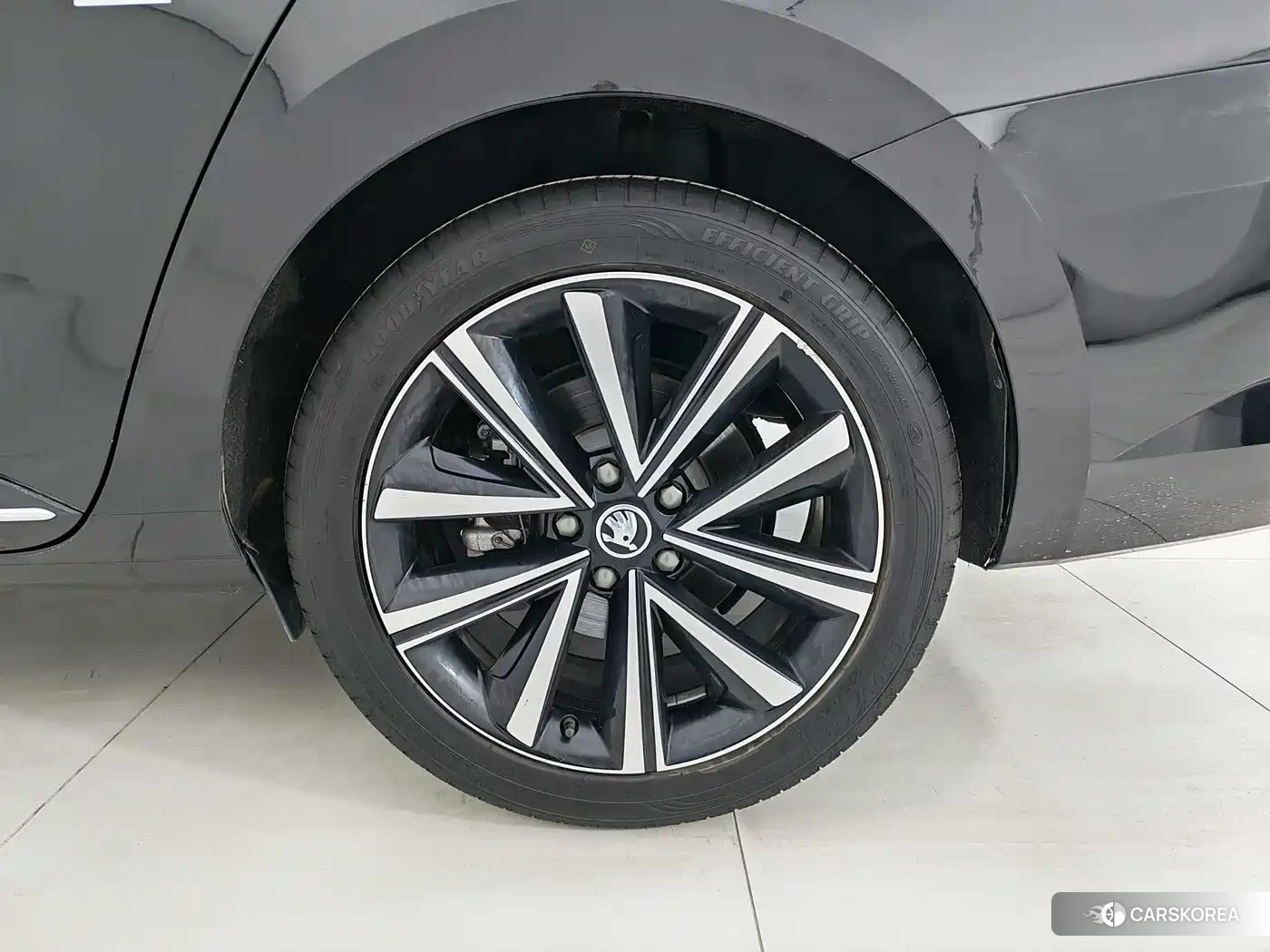 Skoda Speed pie id 4539013 из Китая 22