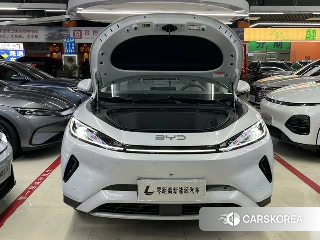 BYD Sea Lion 05EV id 4210031 из Китая 17