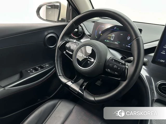 BYD e2 id 4198980 из Китая 26