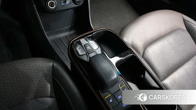 Hyundai Ionic Electric id 3039266 из Кореи 19