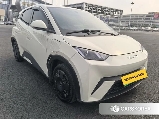 BYD Seagull id 4211754 из Китая 12