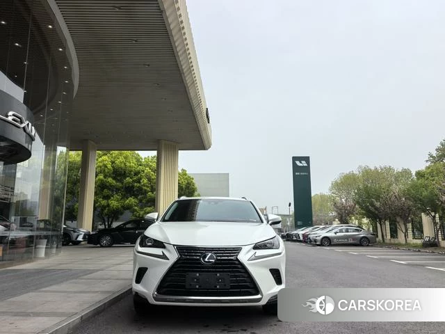 Lexus NX id 4262252 из Китая 16