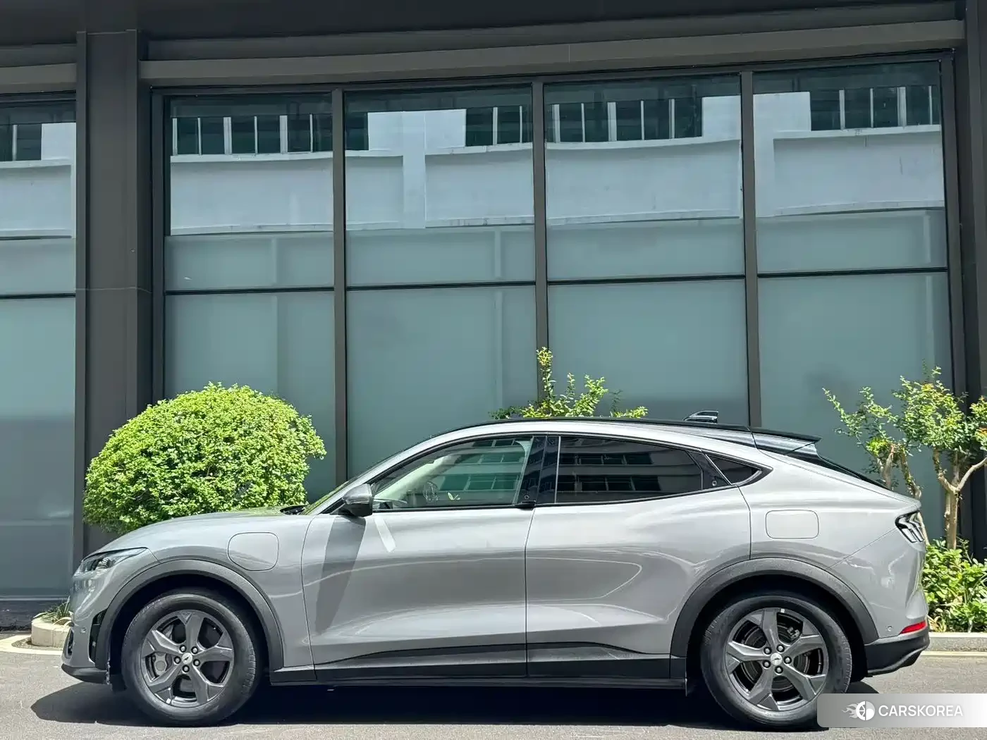 Ford Electric horse id 4644467 из Китая 9