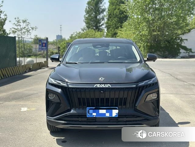 Dongfeng Fengshen Haoji id 4025833 из Китая 9