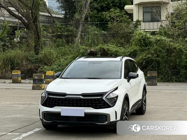 Kia Lion Platinum expands the world id 4393318 из Китая 9