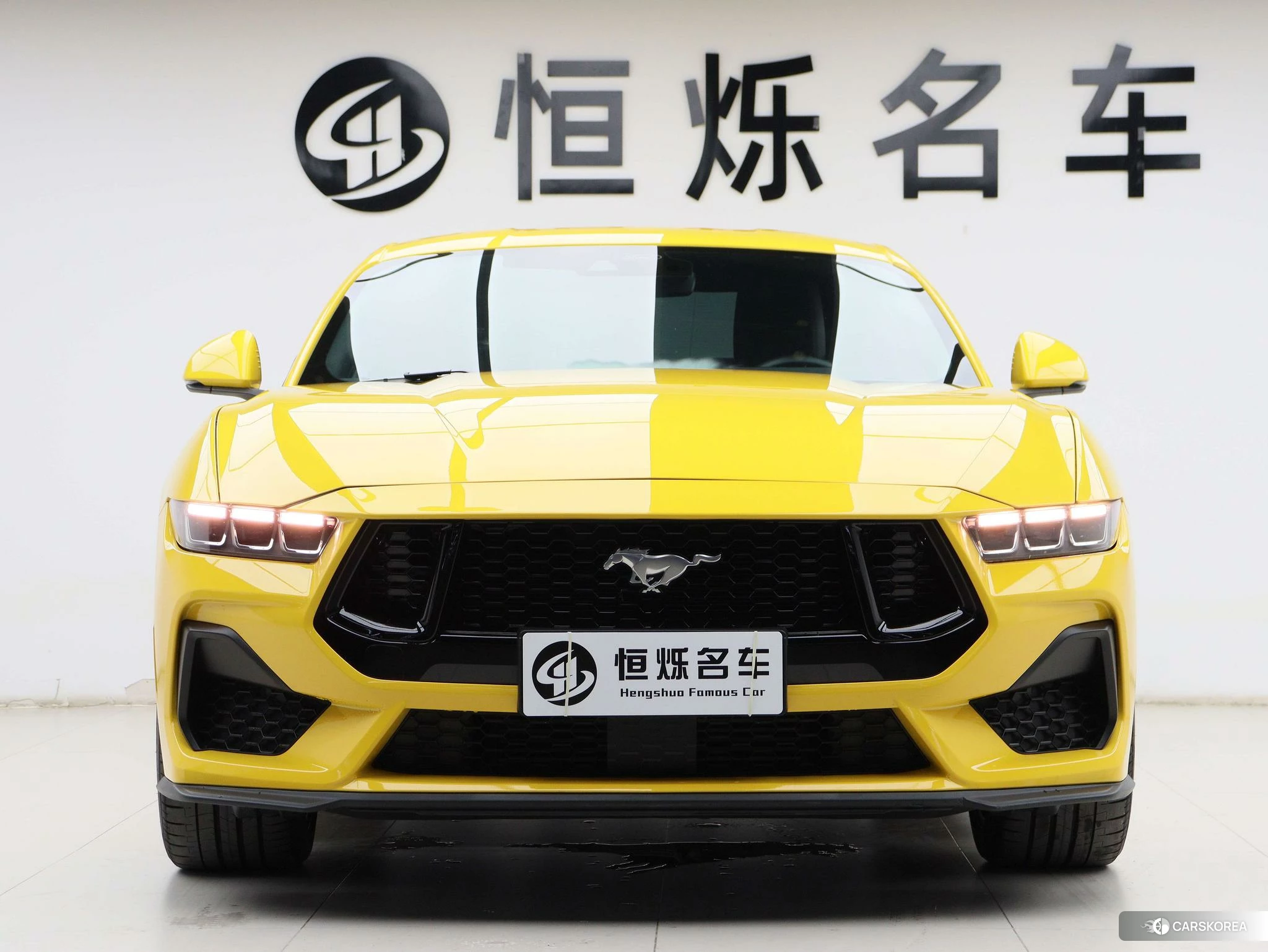 Ford Mustang id 4486306 из Китая 31