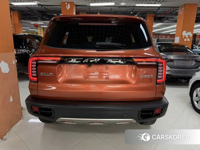 Haval Big dog id 4239941 из Китая 9