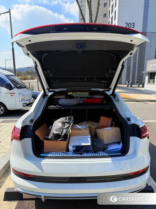 Audi e-Tron id 3443486 из Кореи 15