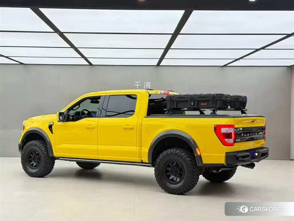Ford F-150 id 4629701 из Китая 17