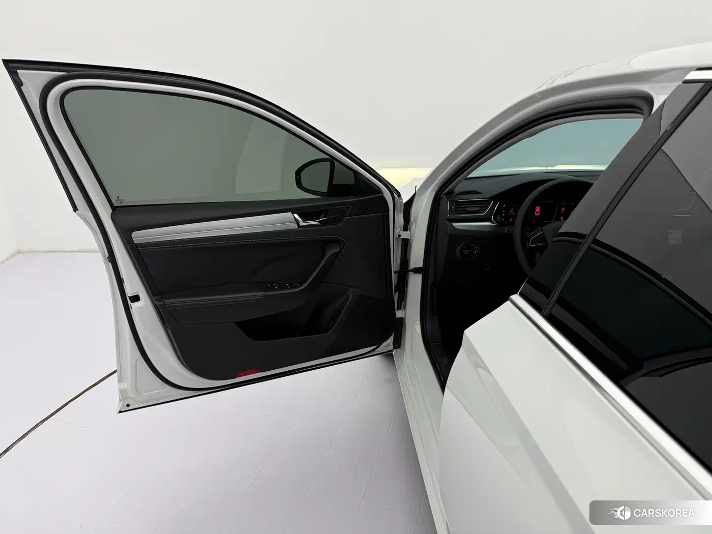 Skoda Speed pie id 4553920 из Китая 22