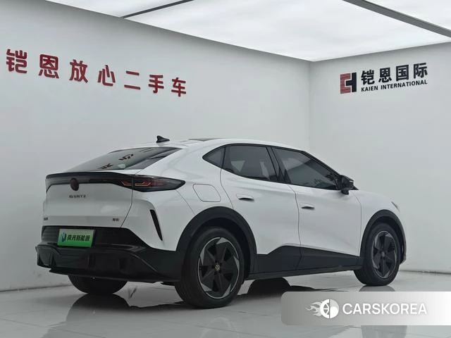 Volkswagen With the crowd 06 id 3908687 из Китая 31