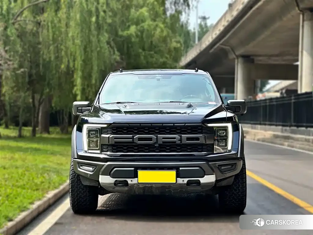 Ford F-150 Raptor id 4576829 из Китая 18
