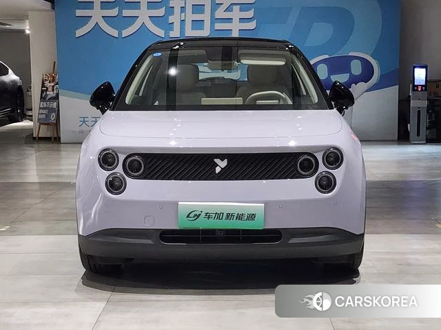 firefly firefly Unknown id 3983165 из Китая 9