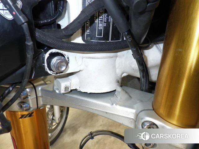 Triumph TIGER 900 RALLY PRO id 3946624 из Японии 25