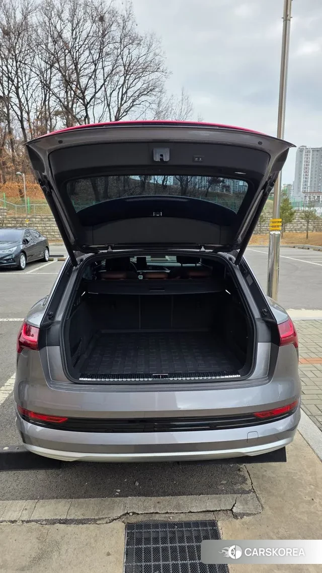 Audi e-Tron id 3727842 из Кореи 19