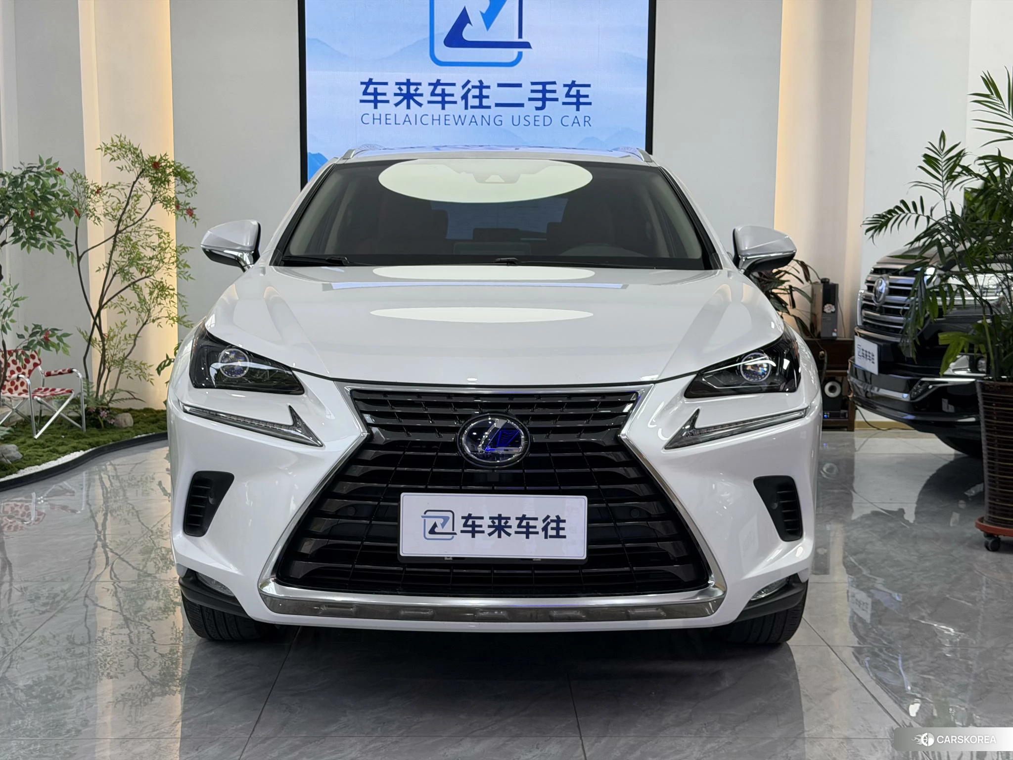 Lexus NX id 4512863 из Китая 19