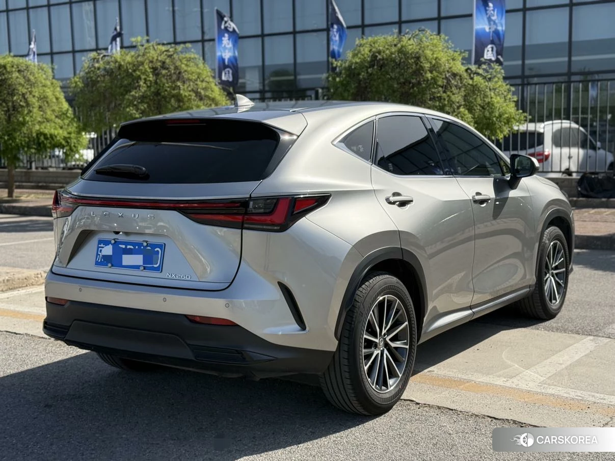 Lexus NX id 4461357 из Китая 9