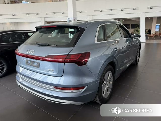 Audi e-tron id 3920668 из Китая 14