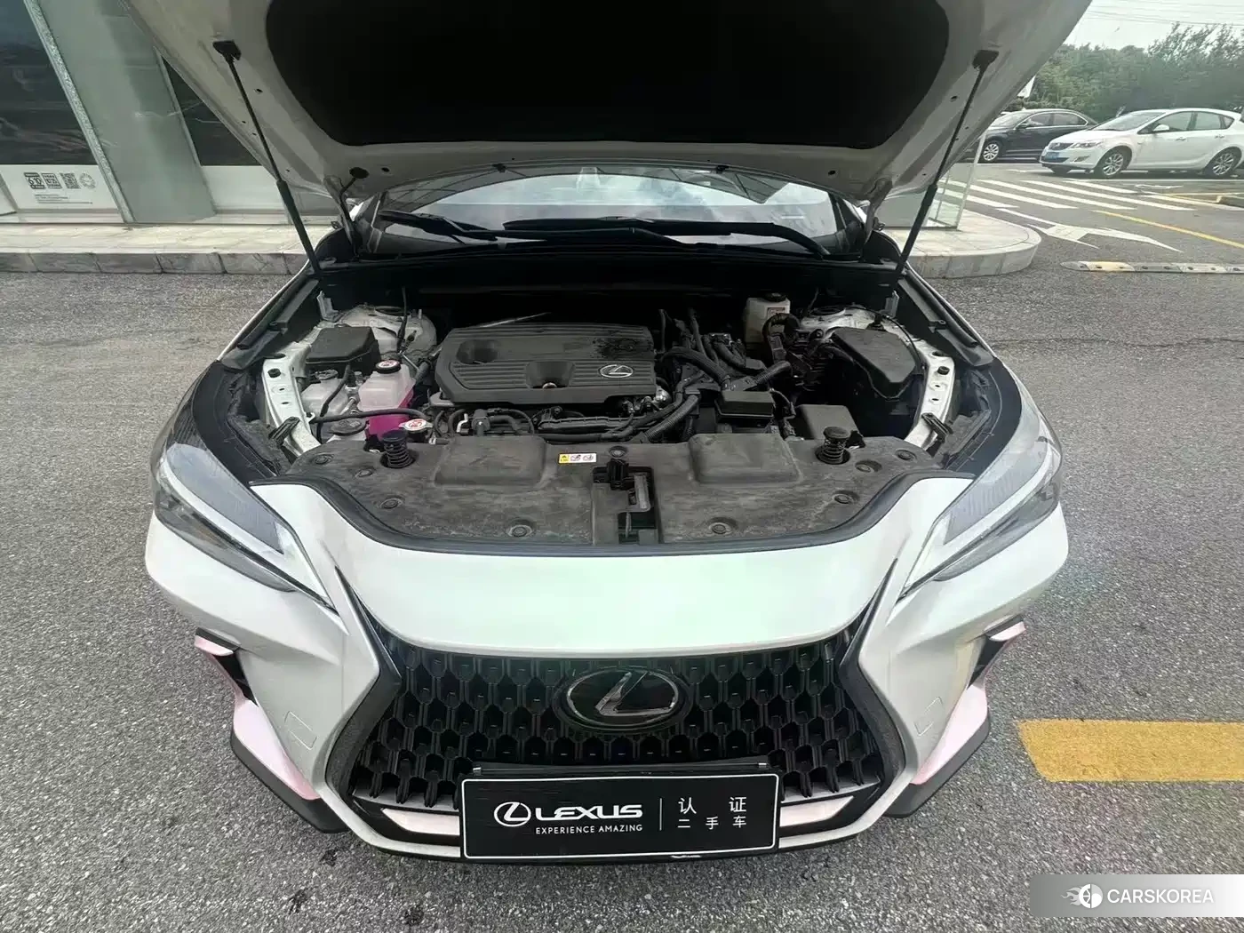 Lexus NX id 4538996 из Китая 11
