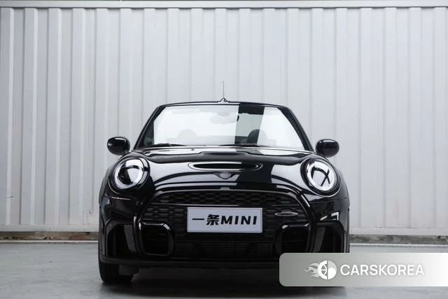 MINI MINI id 4211892 из Китая 9