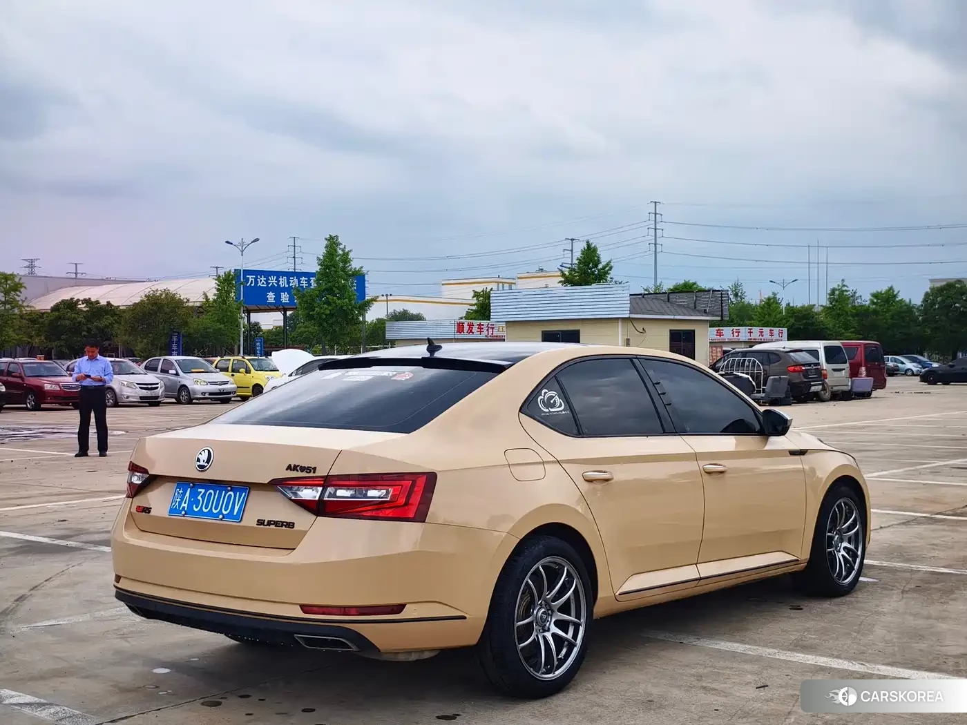 Skoda Speed pie id 4577748 из Китая 9
