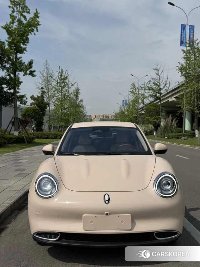 Euler Good cat id 3957813 из Китая 15